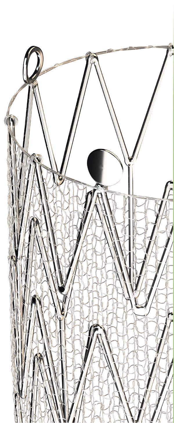 home-stent-dual-layers